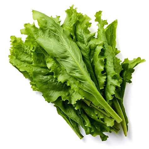 Premium Ai Image Variety Of Nature Wild Lettuce Leaves Type Of Herb