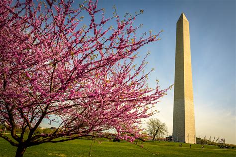 Washington DC Monuments — World Vision Advocacy