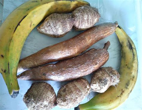 Best Tomato Gravy With Cassava Eddo And Plantain Humble Vege