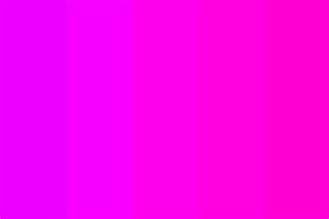 magenta to pink Color Palette