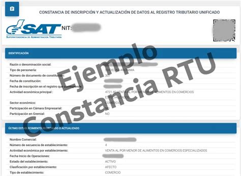 Consulta Rtu C Mo Imprimir Constancia Rtu En L Nea