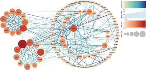 Frontiers Selection And Validation Of Genes Related To Oxidative