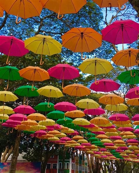 Conheça Holambra a cidade das flores Viagens Ponto turístico