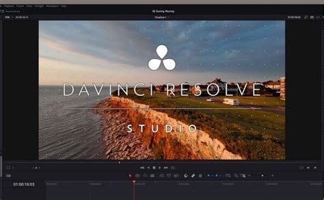 DaVinci Resolve Crop Video 2024