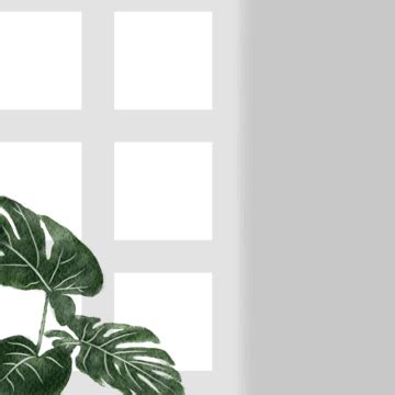Aesthetic Abstract Background Leaves Line Art Green Transparent ...
