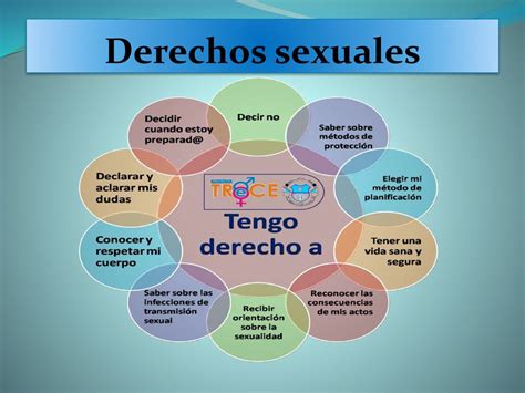 Modelo Holonico De La Sexualidad En Este Modelo El Dr Eusebio Rubio Aurioles Doctor En