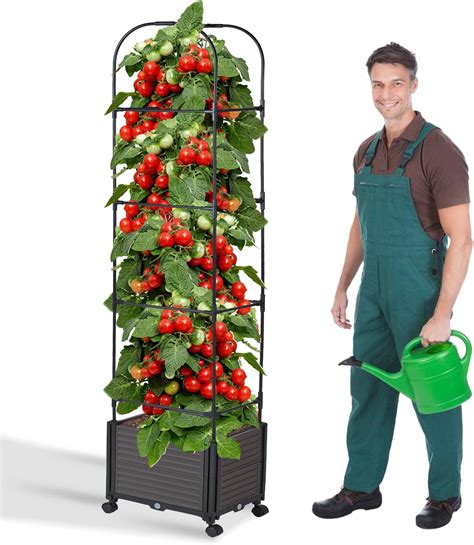 Amazon Tomato Planter Box With Trellis Raised Garden Bed