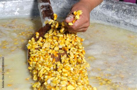 Produccion De Nixtamal Para Hacer Masa De Tortillas O Tamales Stock