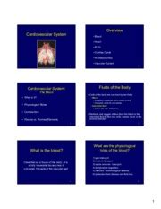 Cv Blood Overview Cardiovascular System Blood Heart Ecg Cardiac