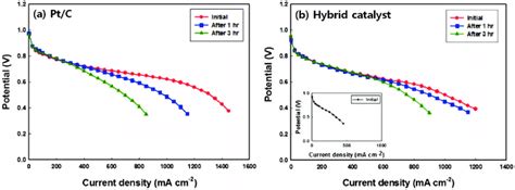 Polarization Curves Of A Ptc And Of B A Hybrid Mixture Of Ptc And