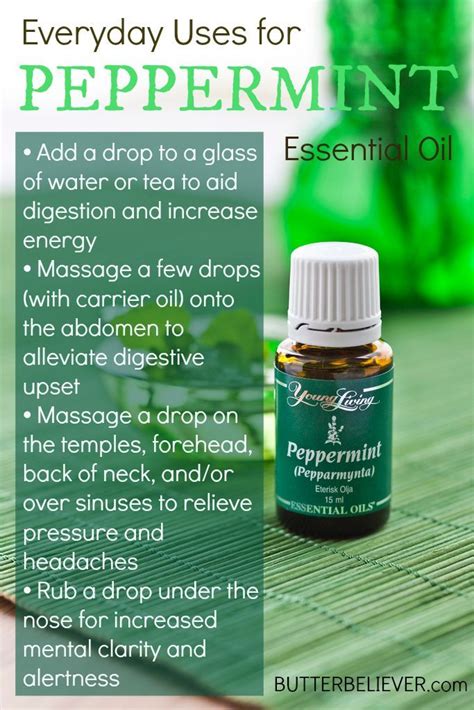 Basic Uses For Peppermint Essential Oil Plus A Giveaway Holistic Health In 2023 Essential