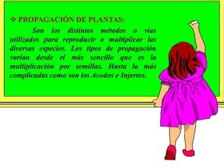 Propagacion De Plantas Ppt