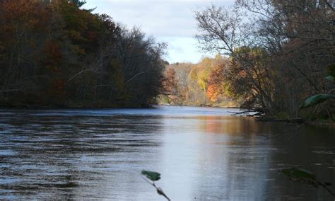 Muskegon River Newaygo County Exploring