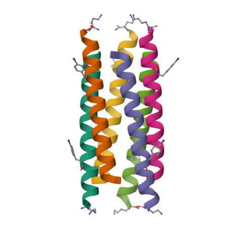 RCSB PDB 5VTE Hetero Antiparallel Coiled Coil Hexamer Formed By De