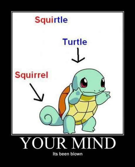 Squirtle Pokemon Funny Funny Pokemon Pictures Pokemon