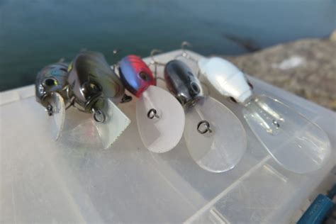 P Che Du Bar Au Crankbait Partie Types De Bavette Et S Lection De