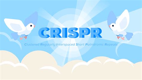 Designer Babies Crispr Explained On Behance