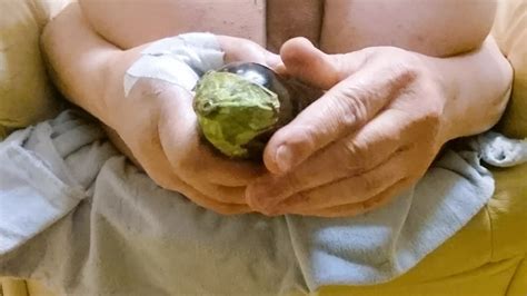 Dinner Time Gay Amateur Amateur Porn Feat Montana XHamster