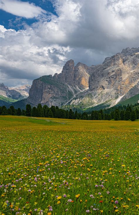 Amateur Photography On Tumblr