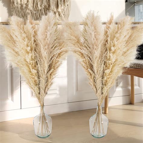 Stems Tall Natural Pampas Grass Decor Large Pompas Grass