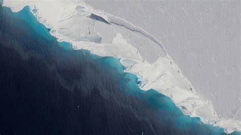 Thwaites Glaciers Critical Ice Shelf Could Collapse Within Five Years