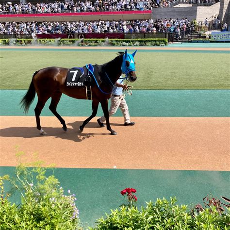 東京競馬場で逢おう ユニコーンs 府中白糸台日記