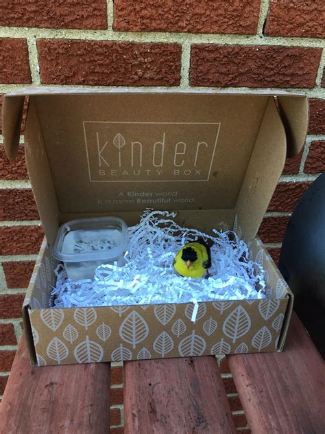 A Goldfinch ran into my window (it’s all better now) what does it mean