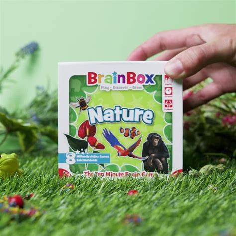 BrainBox