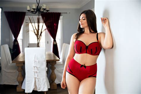 Sexy Shapewear Lingerie ParfaitLingerie Blog