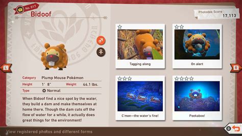 Bidoof Photodex New Pokémon Snap Wiki Grindosaur