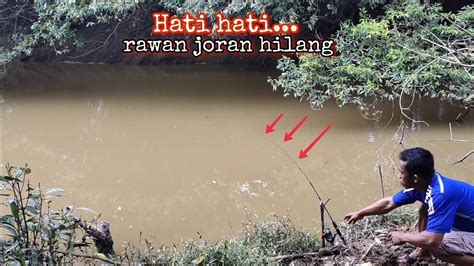 Para Pemancing Ikan Baung Pasti Menunggu Momen Seperti Ini YouTube