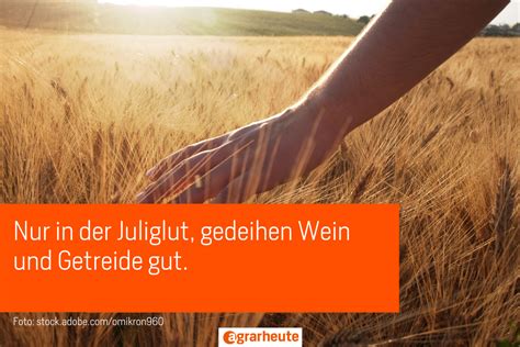 Juliregen Nimmt Den Erntesegen Bauernregeln Im Juli Agrarheute