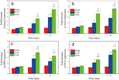 Expressions Of Osteogenic Genes Of Runx2 A ALP B OPN C And OCN