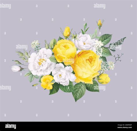 Vintage Blooming Roses Design Element Vector Stock Vector Image And Art