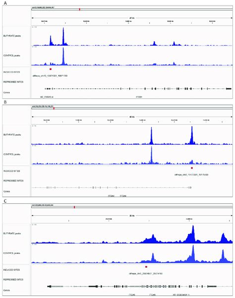 Integrative Genomics Viewer Igv Screenshot Of Ctcf Peaks Bt And Ct