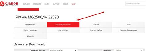 How To Update Canon Printer Drivers For Windows 10?