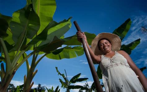 Mulheres do campo estão em busca de mais conhecimento na área rural