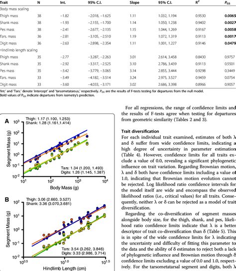 Results Of Regressions Of Segment Masses Against Body Mass And Hindlimb