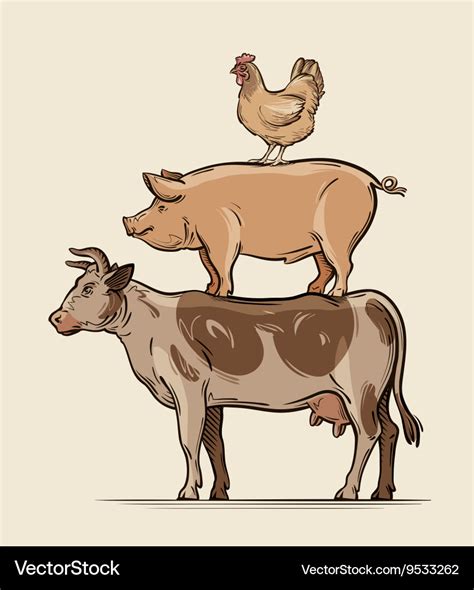 Farm animals Cow pig chicken beef pork meat Vector Image