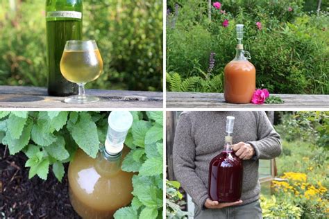 50+ Mead Recipes for Homemade Honey Wine