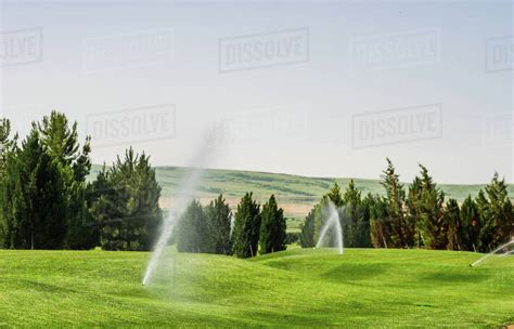 Water Sprinklers Watering The Grass On A Golf Course In Summer Kakheti