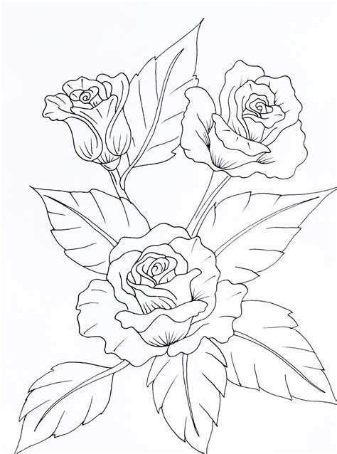 Rose Sketch - Etsy