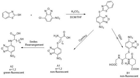 Synthesis Of Benzothiazole Ylthio Nitro Benzoxadiazole