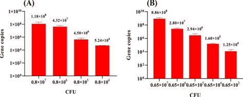 The Sensitivity Of Pma Qpcr Method For Quantifying The Biomass Of A