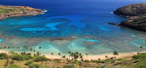 Protecting Hawaii's coral reefs | Hawaiian Airlines