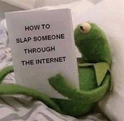 How to slap someone through the internet | Kermit the Frog | Know Your Meme