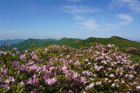 Sobaeksan National Park | South Korea 대한민국 | Outdoors Korea