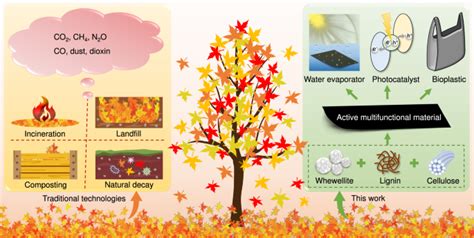 Turning Dead Leaves Into An Active Multifunctional Material As