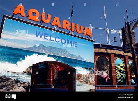 entrance to the two oceans aquarium at the v&a waterfront cape town ...