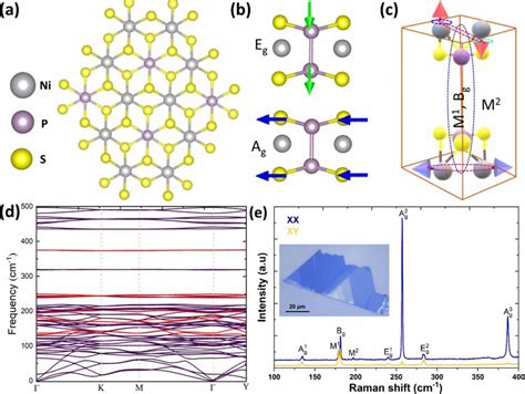 Polarization Dependent Raman Results Of Nips3 A Angle Dependent